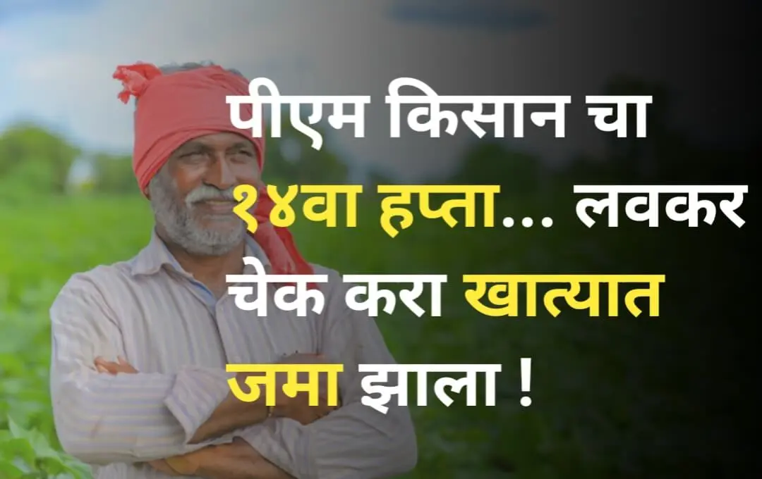 PM Kisan Yojana Update: या ताखेला जमा होणार पी एम किसान योजनेचा १४ वा हप्ता
